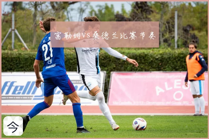 富勒姆vs桑德兰比赛节奏